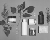 health and wellness loyalty programs