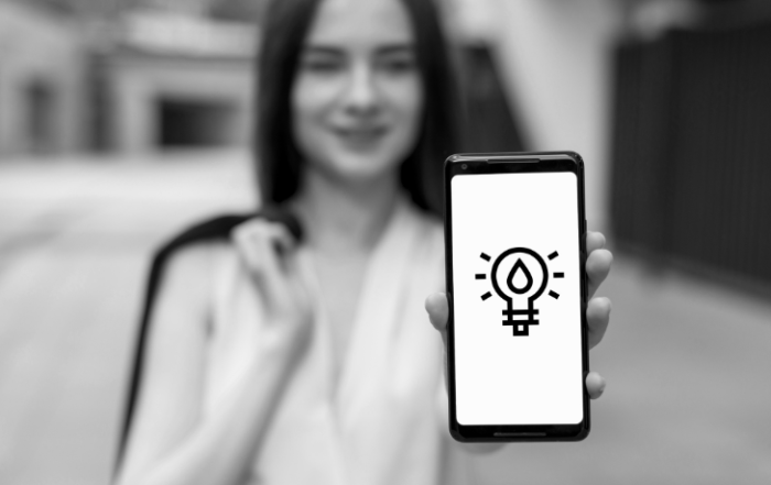 loyalty program strategies and insights